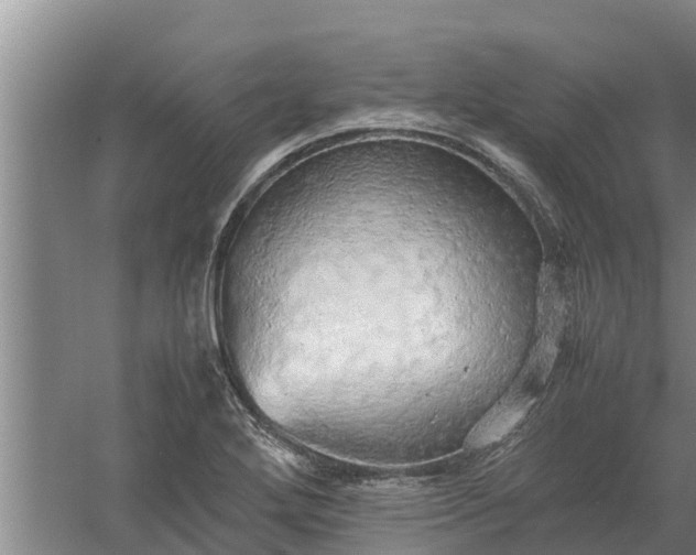 X0000058131272200509301943