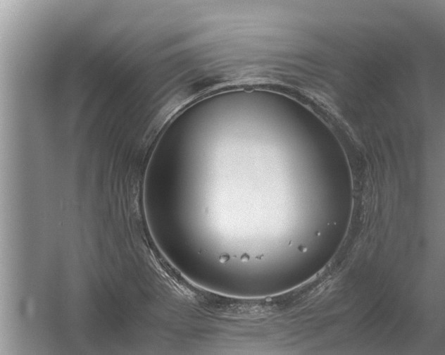 X0000058131273200509301943