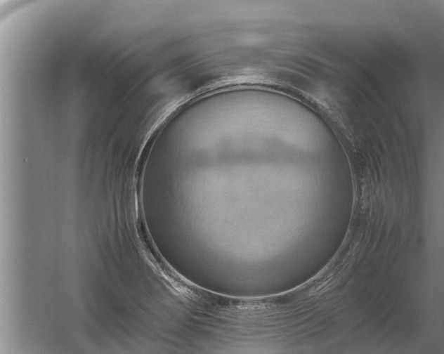 X0000058131274200509301943