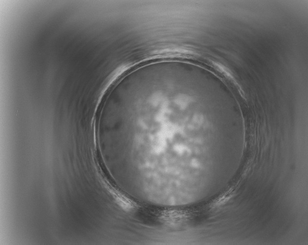 X0000058131275200509301943