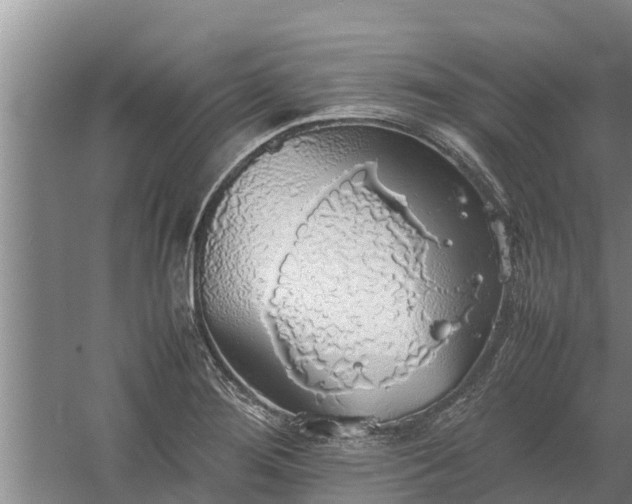 X0000058131276200509301943