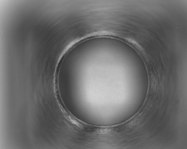 X0000058131278200509301943