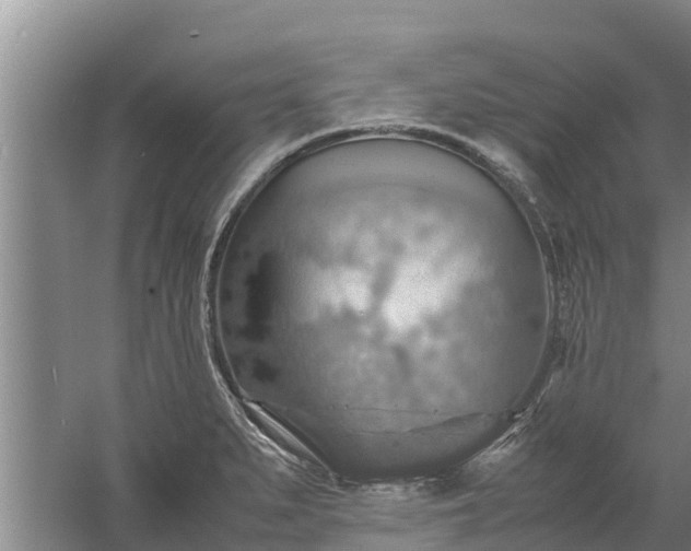 X0000058131279200509301943