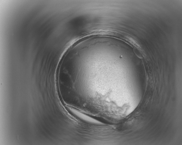 X0000058131283200509301943