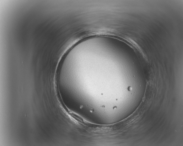 X0000058131285200509301943