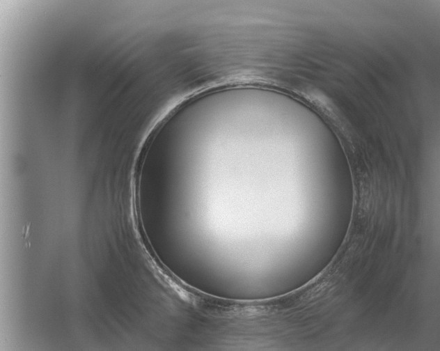 X0000058131286200509301943