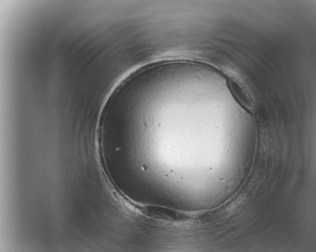 X0000058131288200509301943