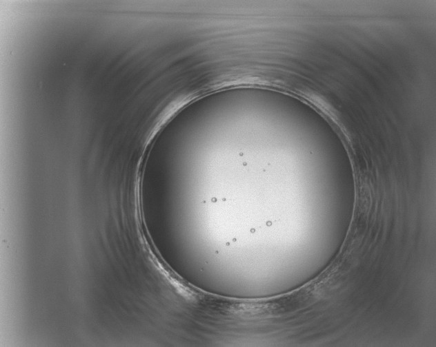 X0000058131290200509301943