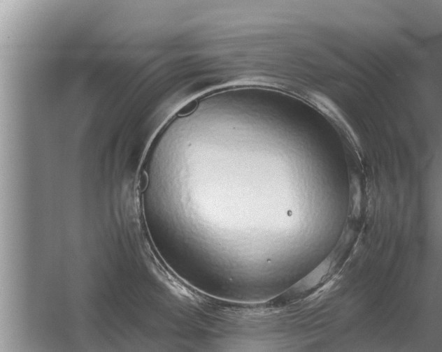 X0000058131292200509301943