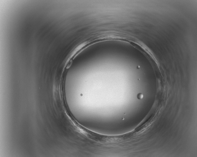 X0000058131293200509301943