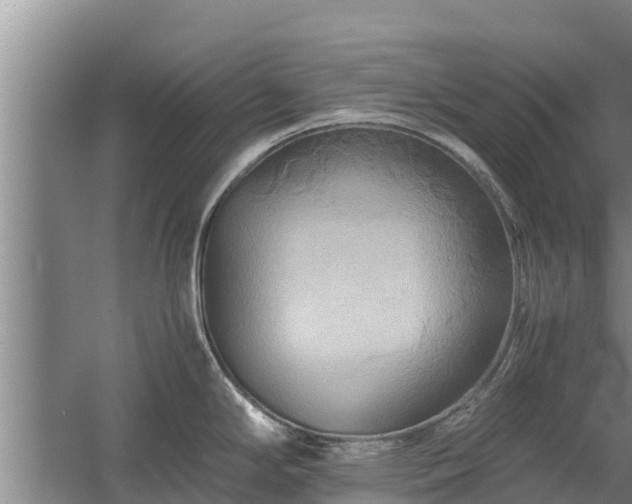 X0000058131294200509301943