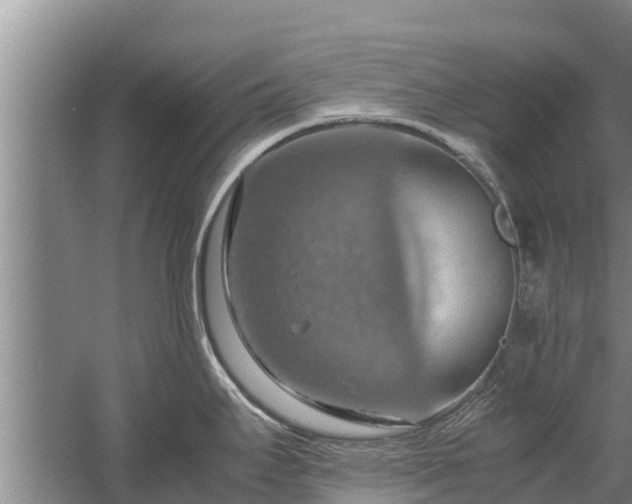 X0000058131295200509301943