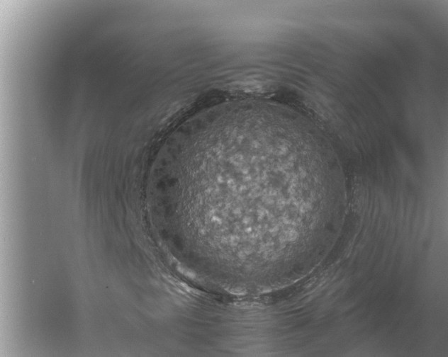 X0000058131297200509301942