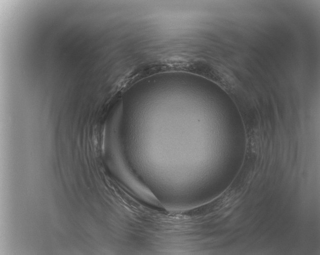 X0000058131298200509301942