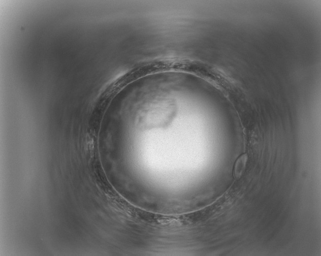 X0000058131302200509301942