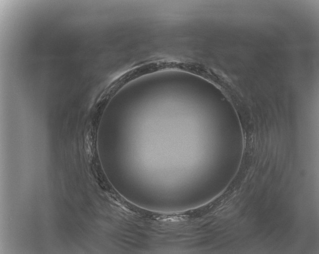 X0000058131303200509301942