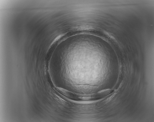 X0000058131306200509301942