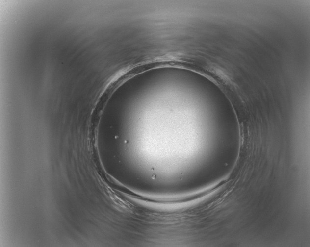 X0000058131308200509301942