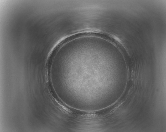 X0000058131310200509301942