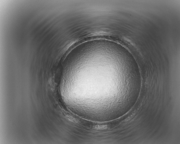 X0000058131313200509301942