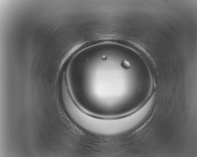 X0000058131317200509301942