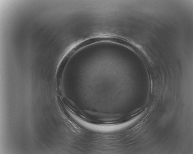 X0000058131319200509301942