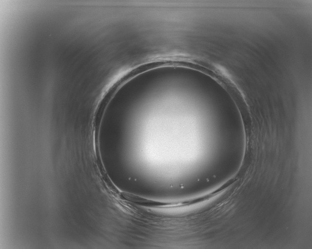 X0000058131320200509301942