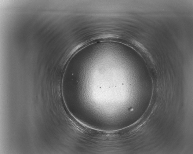 X0000058131321200509301942