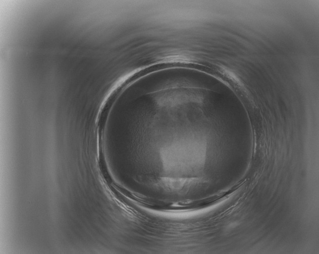 X0000058131323200509301942