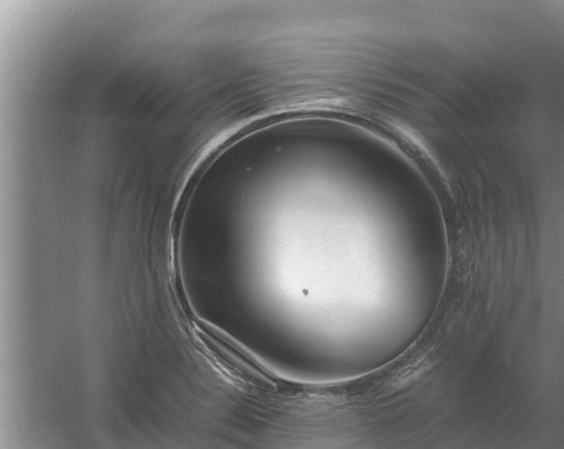 X0000058131324200509301942