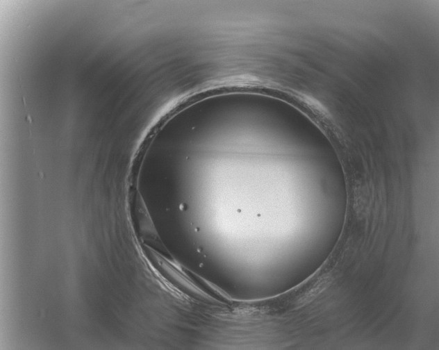 X0000058131326200509301942