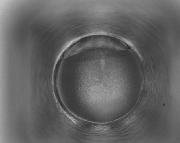 X0000058131327200509301942