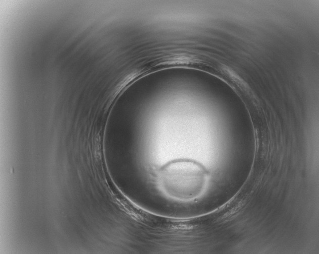 X0000058131329200509301943