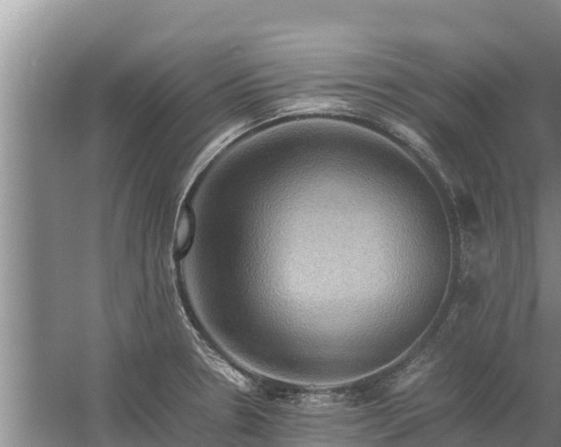 X0000058131330200509301943