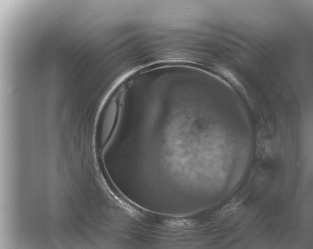 X0000058131331200509301943