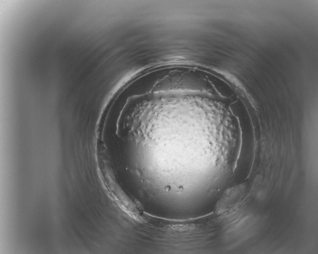 X0000058131333200509301943