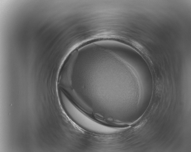 X0000058131334200509301943