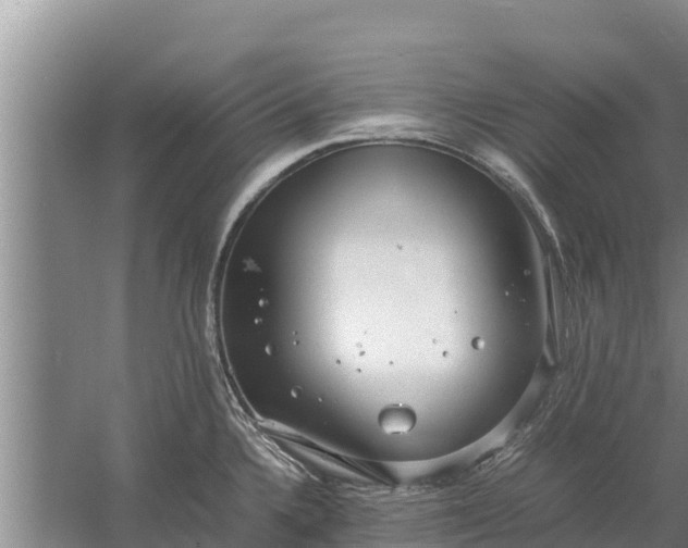 X0000058131336200509301943