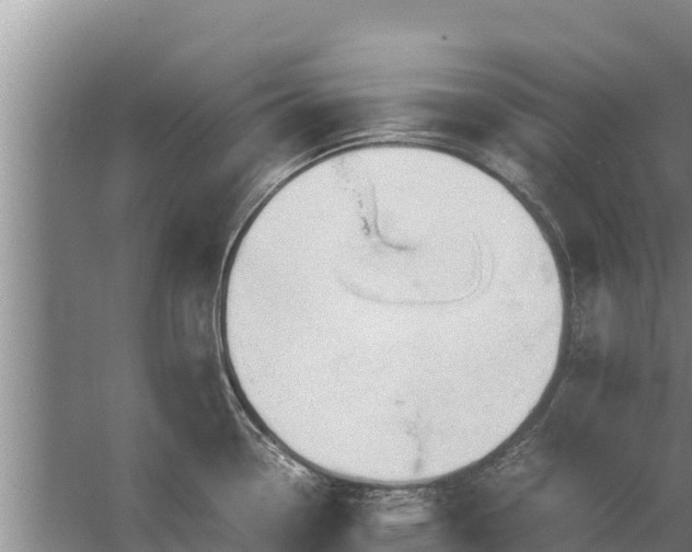 X0000058131338200509301943