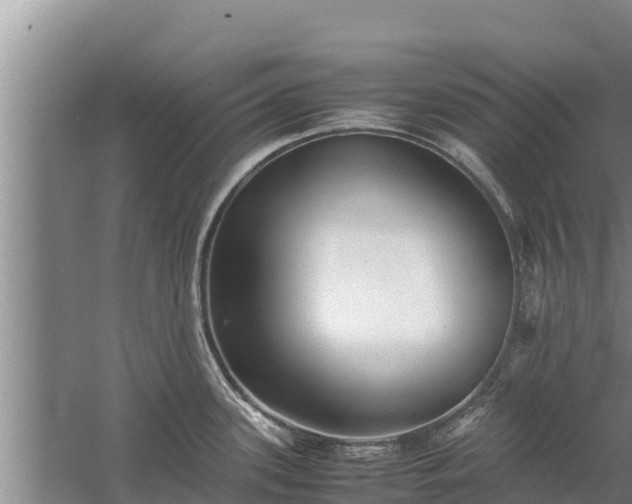 X0000058131339200509301943