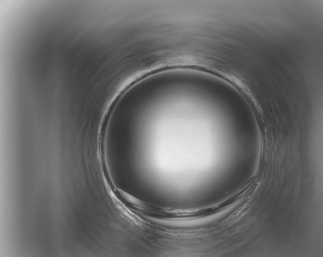 X0000058131342200509301943