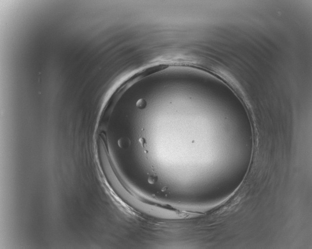 X0000058131344200509301943