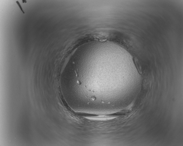 X0000058131345200509301942