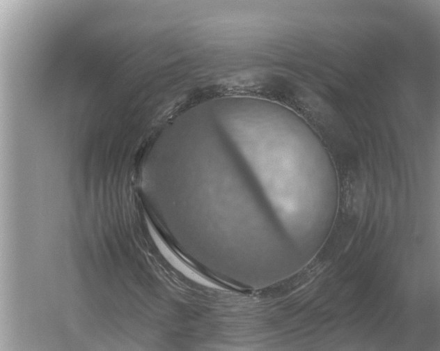 X0000058131346200509301942