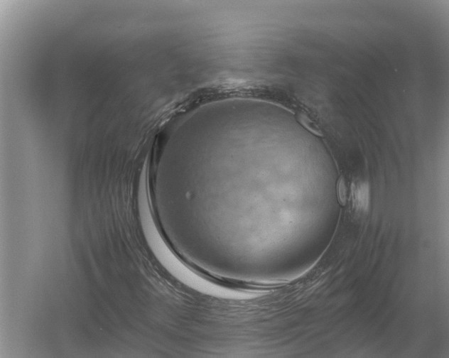 X0000058131348200509301942