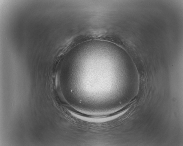 X0000058131349200509301942