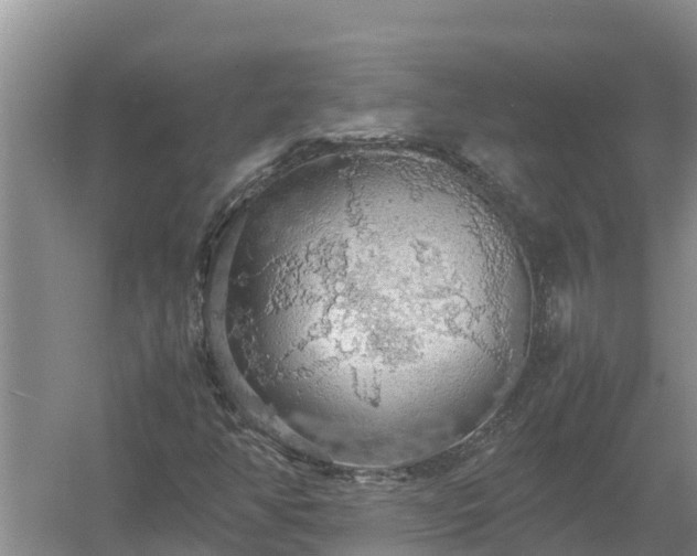 X0000058131350200509301942