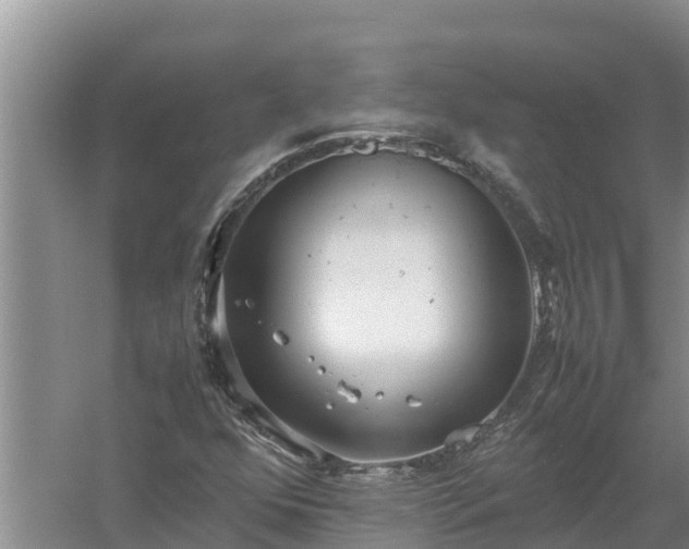 X0000058131352200509301942