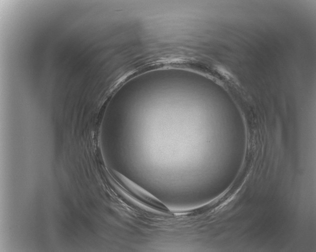 X0000058131353200509301942