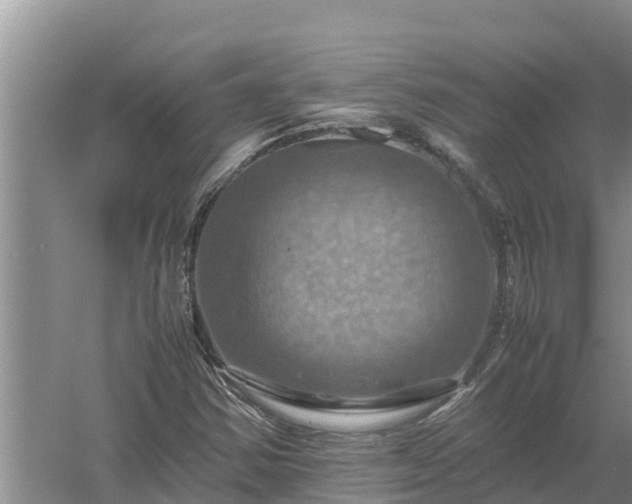 X0000058131354200509301942